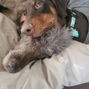 Meet your Posher, Lana